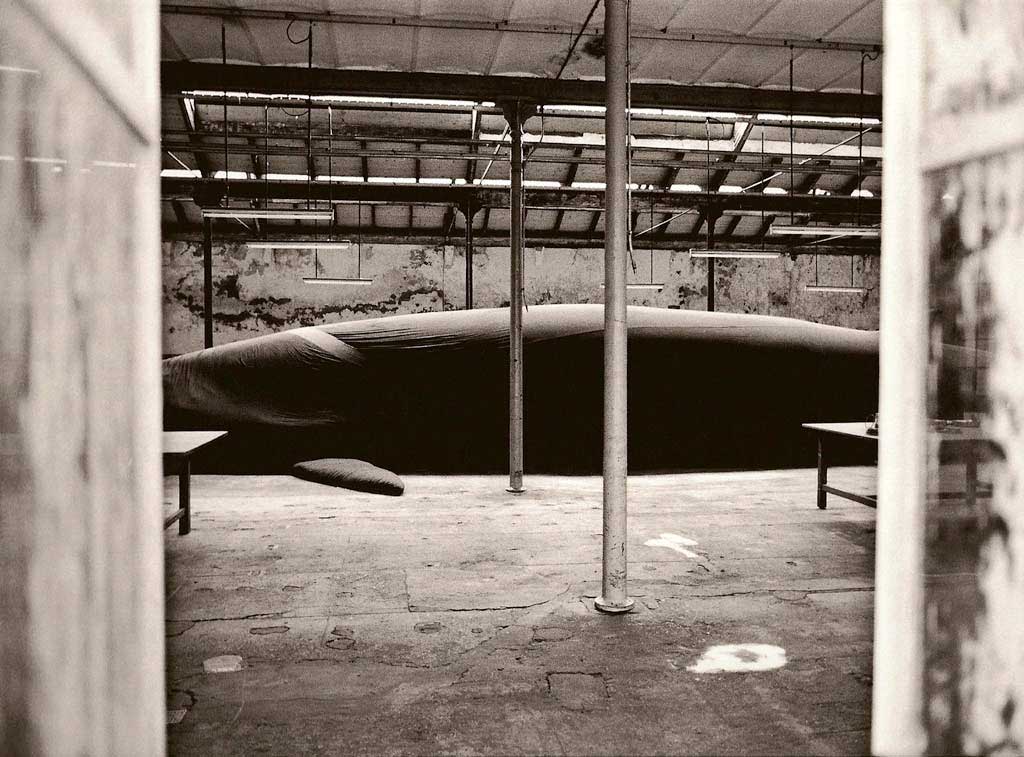 Les funérailles de la baleine 07