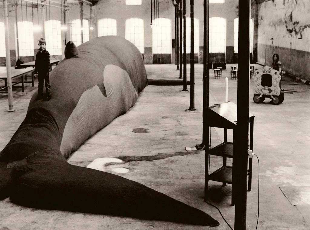 Les funérailles de la baleine 01