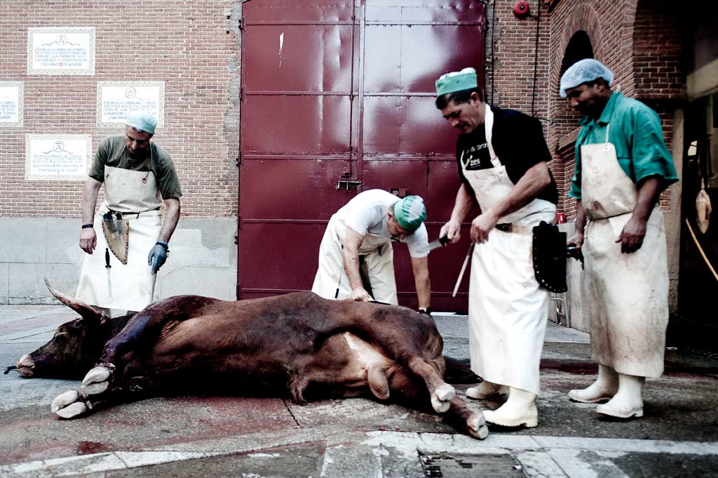 Ventas